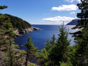 Middle Head Trail